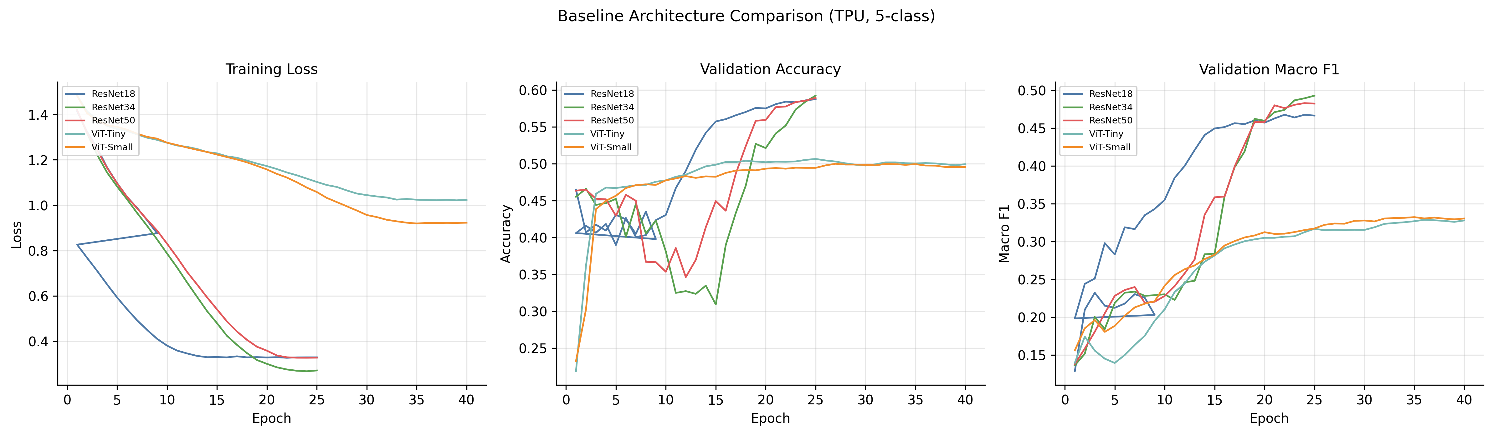Baseline architecture training curves